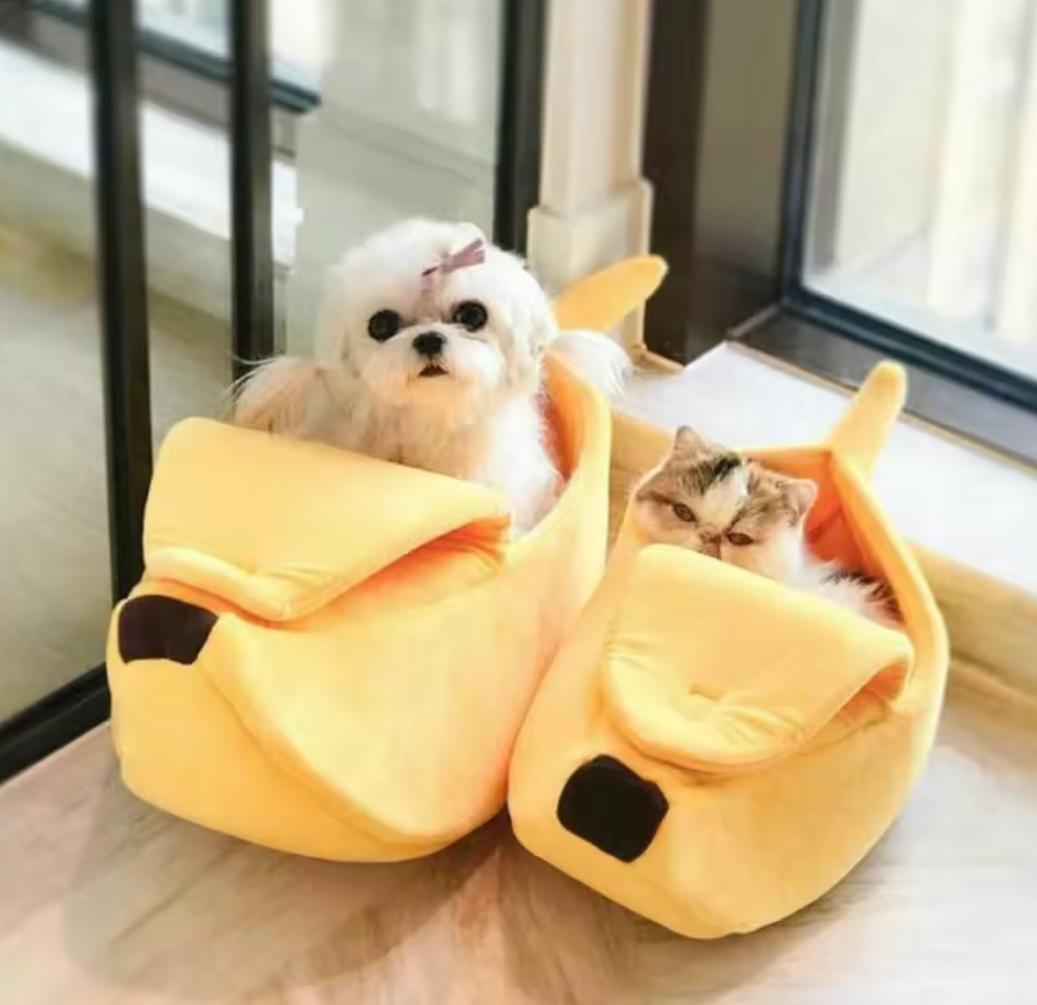 Paturi dragute pentru pisici si catei